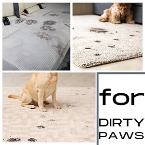 dirty paws