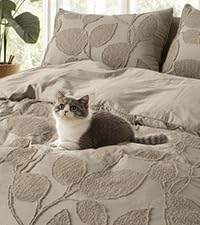 KASENTEX Ultra Soft Quilt Coverlet Blanket Set - Machine Washable, Lightweight, Stone-Washed, Detailed Stitching (Ivory, 6740d7d2 Ce0a 4b84 Ad95 C43feb69699e. AC SR200,225