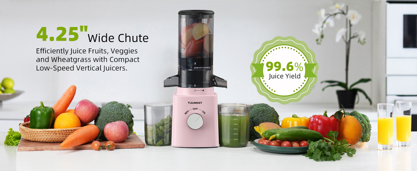Cold Press Juicerwith 4.25" Large Feed Chute Fit WholeVegetable And Fruit