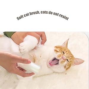 cat brush