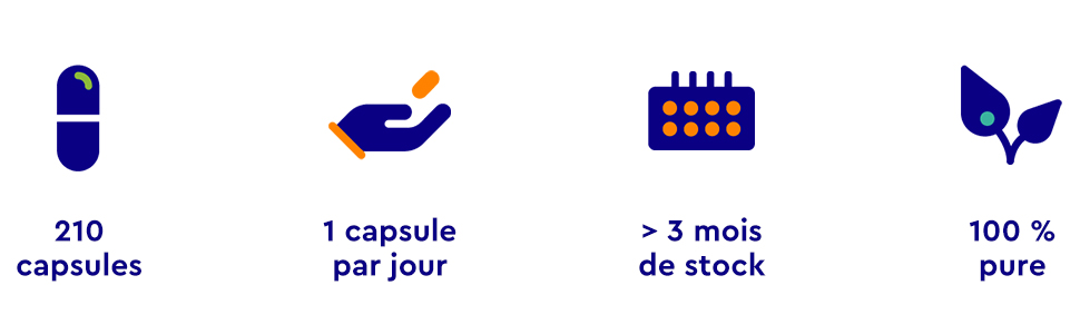 Icônes d'information sur le produit indiquant 210 gélules, la posologie d'une gélule par jour, un approvisionnement supérieur à 3 mois et des indicateurs de produit 100 % purs en bleu et orange.