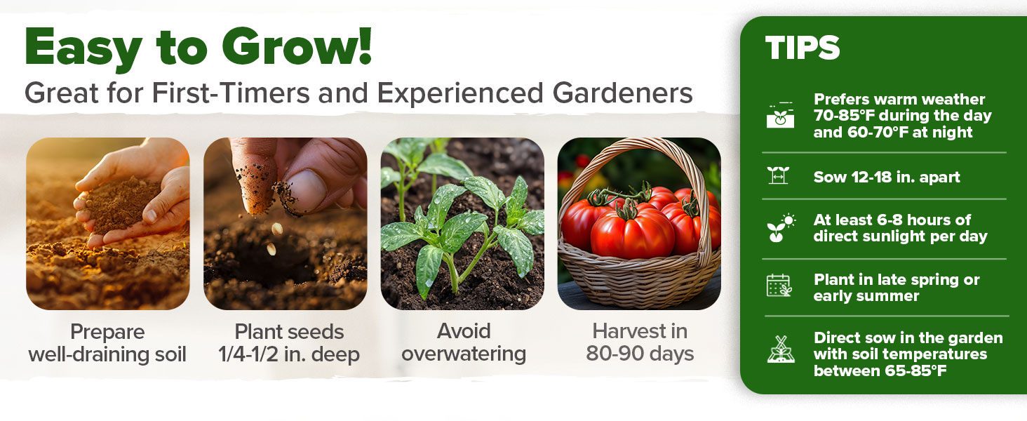 Easy to grow Great for First timers and experienced gardeners