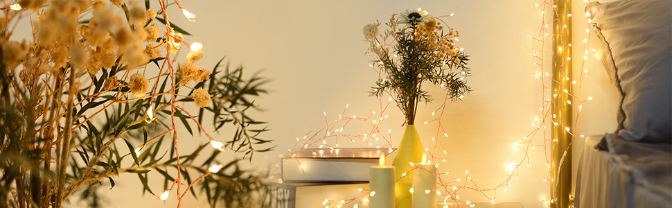 fairy lights plug in with remote
