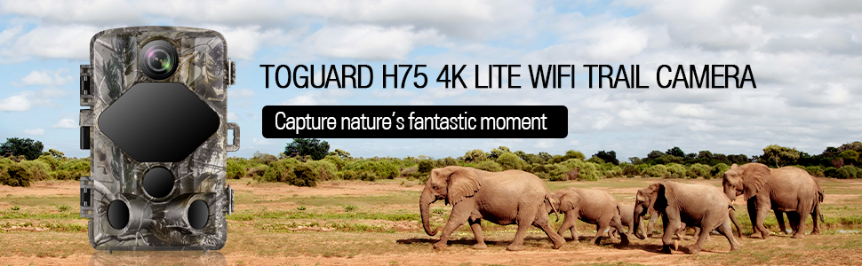 H75 4K wifi trail camera