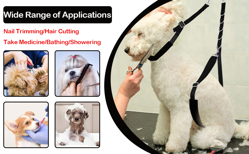 Large manufacture image 4