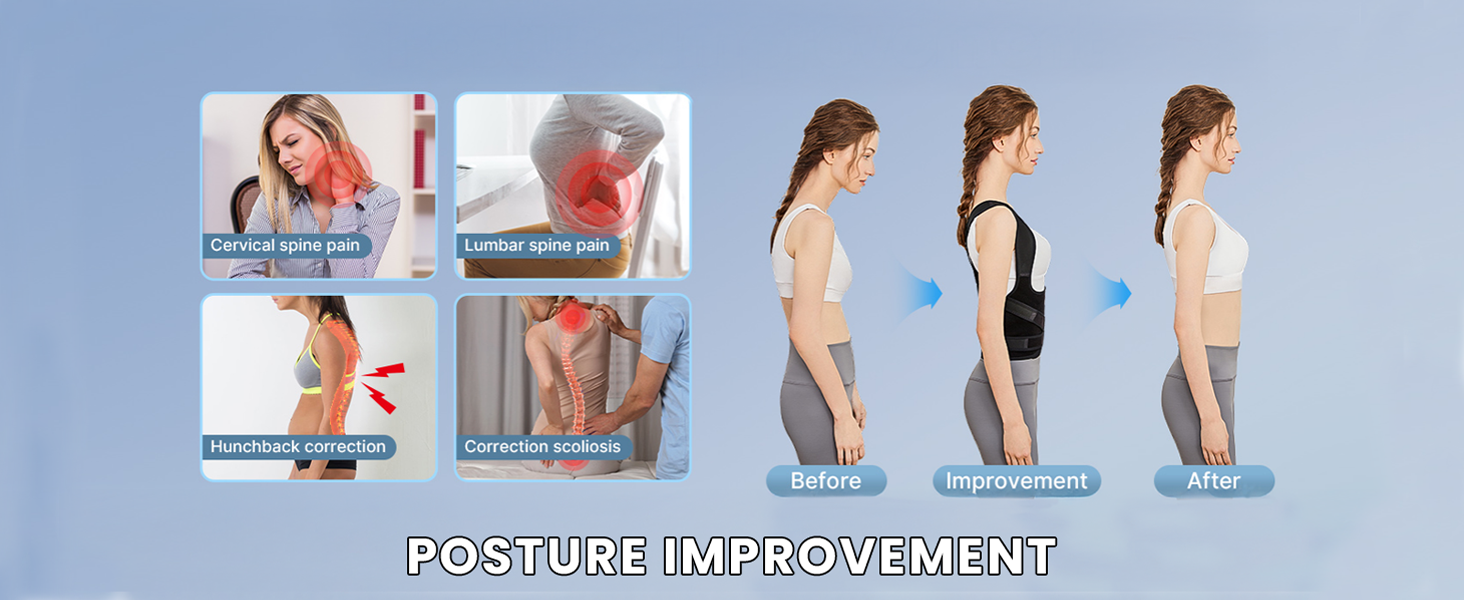 Posture Support  Belt