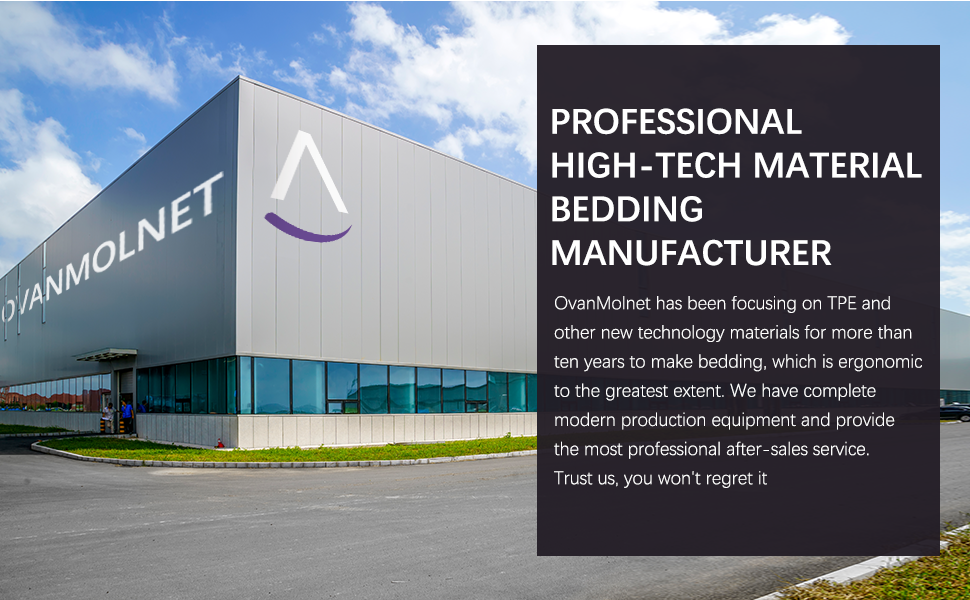 Harmony Pillow with Latex Foam Core and Pressure