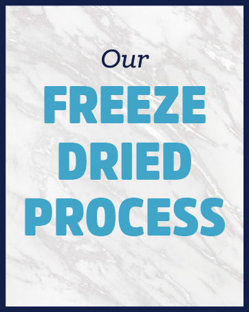 our freeze dried process