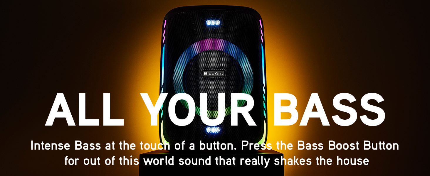 All Your Bass (1464x600 A+)