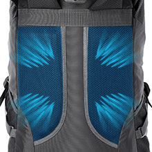 the north face women's borealis backpack