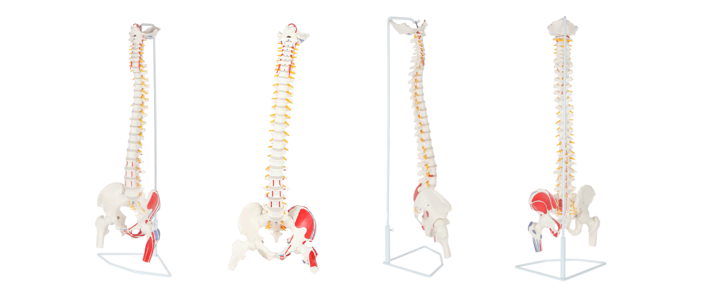 Large manufacture image 2