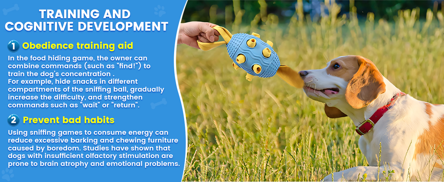 Training and cognitive development