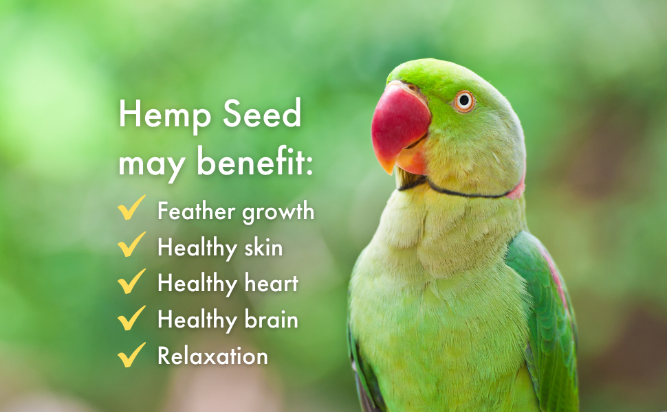 Morning Bird Hemp Seed, Healthy Bird Food with Protein