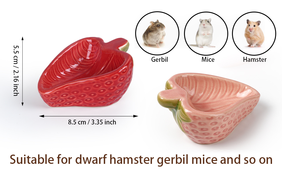 Strawberry Food Bowls