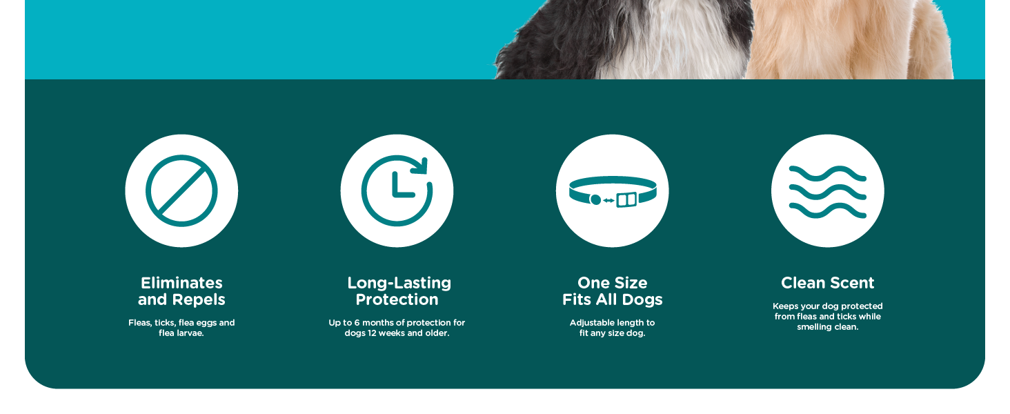 Long lasting protection