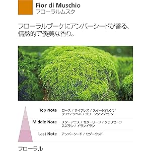 Amazon.co.jp: Millefiori フレグランスディフューザー 専用