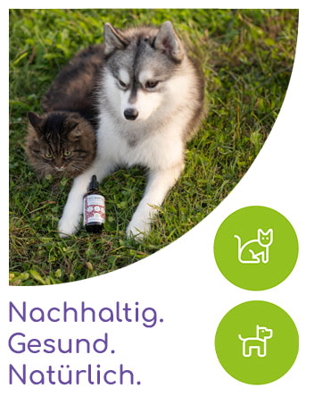 Hund liegt auf Gras mit kleiner Flasche zwischen den Pfoten. Grüne kreisförmige Symbole mit Katzen- und Hundesilhouetten. Deutscher Text „Nachhaltig. Gesund. Natürlich.' unten.