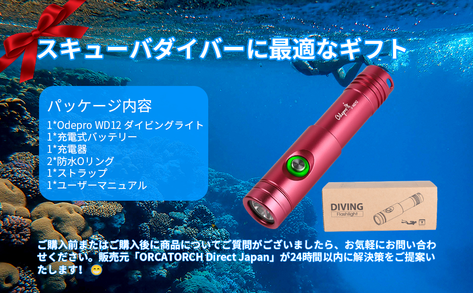 Odepro WD12 IPX8 Max 1050ルーメン ダイビングライト 水 Amazon.co.jp: Odepro WD12 IPX8 Max 1050ルーメン ダイビング