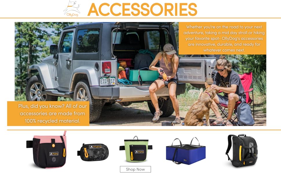 ollydog accessories