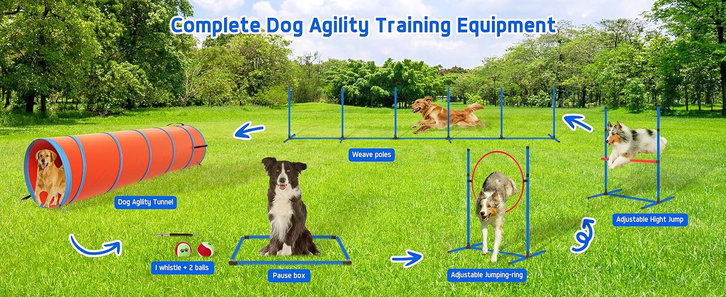 dog obstacle course backyard