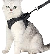 HEYWEAN Cat Harness and Leash - Ultra Light Escape Proof Kitten Collar Cat Walking Jacket with Ru...