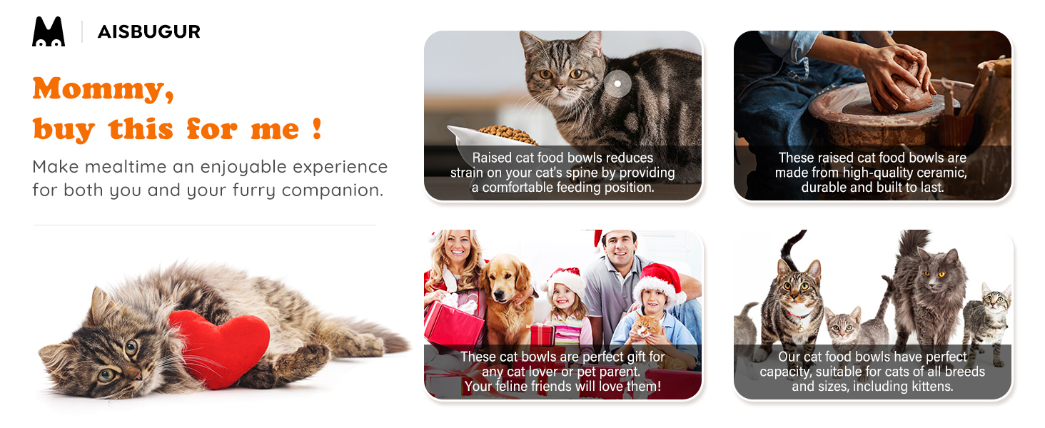 Raised Cat Food Bowl Ceramic 15° Tilted Cat Food Bowls