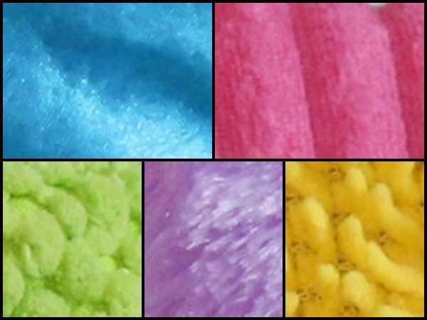 Close up image of the 5 different textures on the turtles back. 