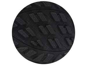 black hiking shoes