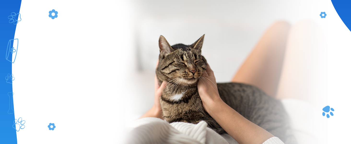  cat cough, dog cough