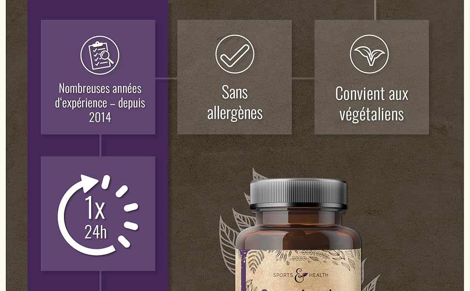 Panneaux d'affichage marketing présentant une palette de couleurs violettes et grises avec des icônes circulaires et des éléments de design.