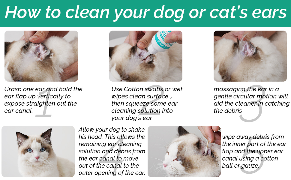 dog and cat ear cleaing