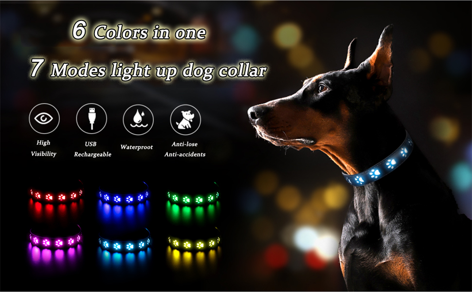 Light Up Dog Collar, Rechargeable & Waterproof Led Dog Collar Light For