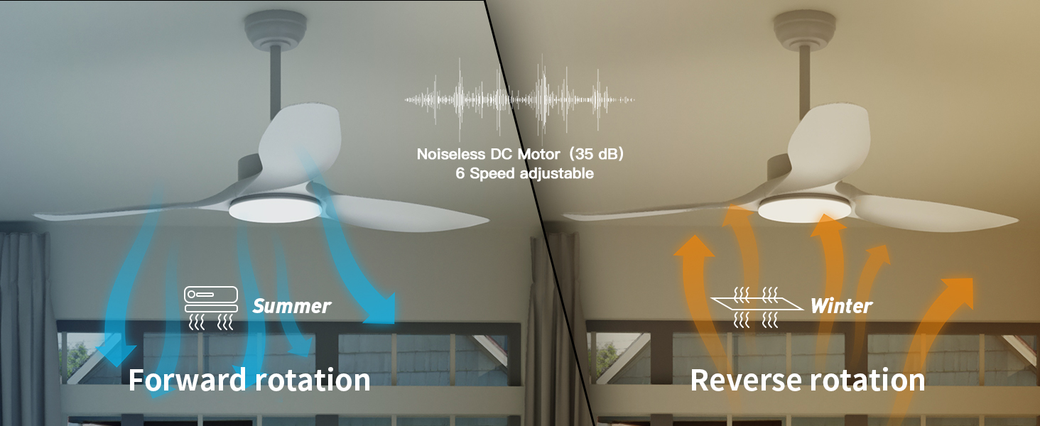 ceiling fan with light
