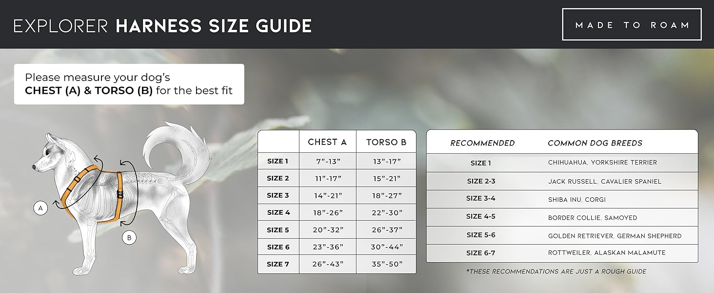 Explorer Harness Size Guide
