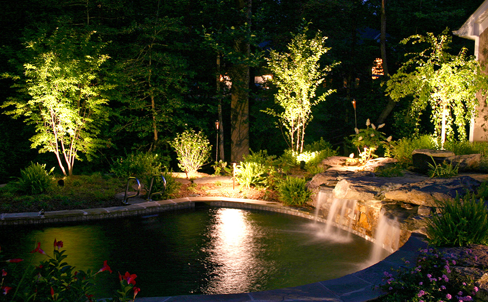 garden landscape