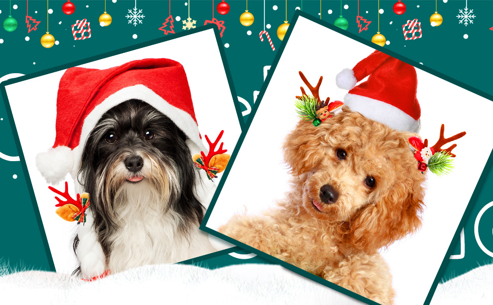 Mruq pet Christmas Small Dog Hair Bows Clips, Holiday