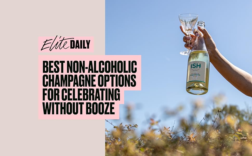 Non Alcoholic Sparkling Wine by ISH Bottle of Espumante Wine 750ml