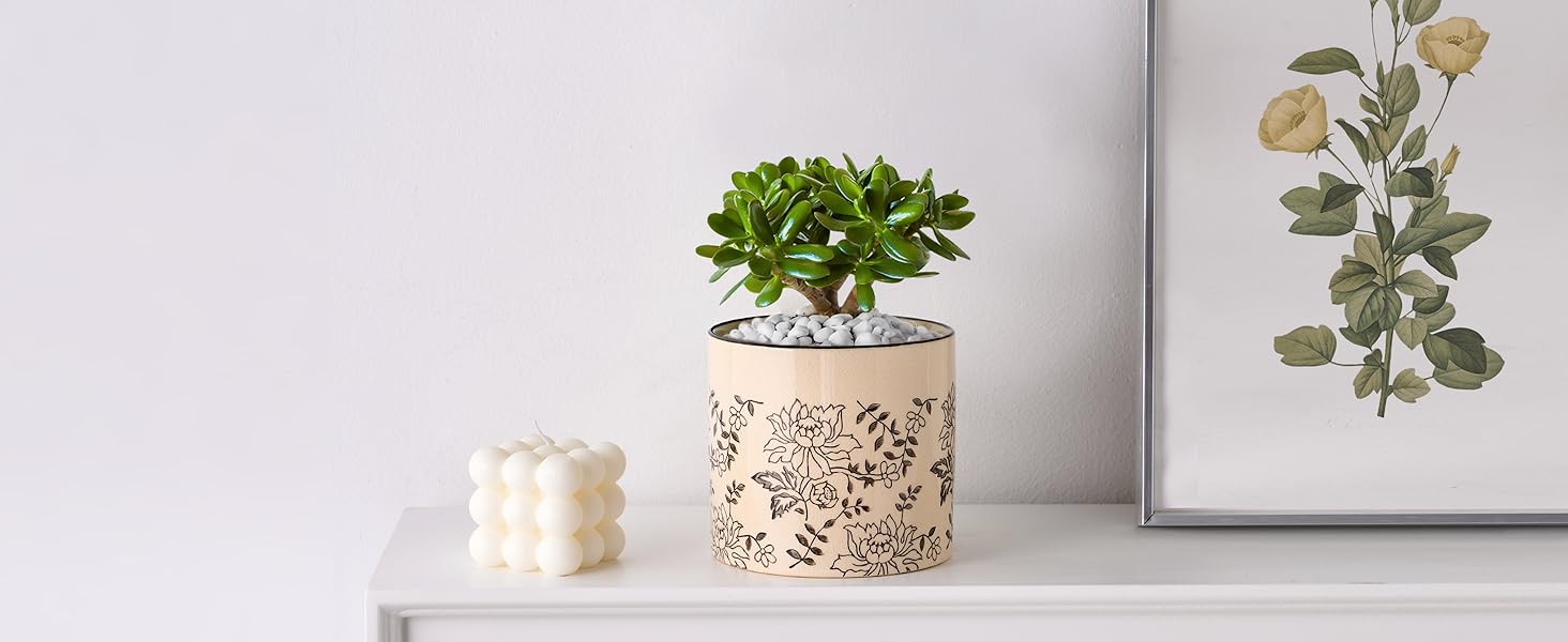 ceramic plant pot for living room