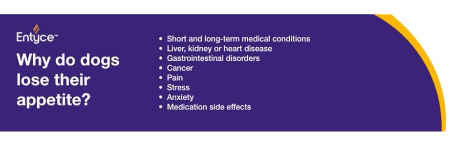 Entyce 食欲刺激剤 30 mL 2本セット Entyce Oral Solution 30mg/ml– StateLineTack