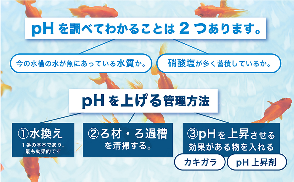 Amazon.co.jp: ［ENJOY AQUA］ アクアリウム 6in1 水質検査紙