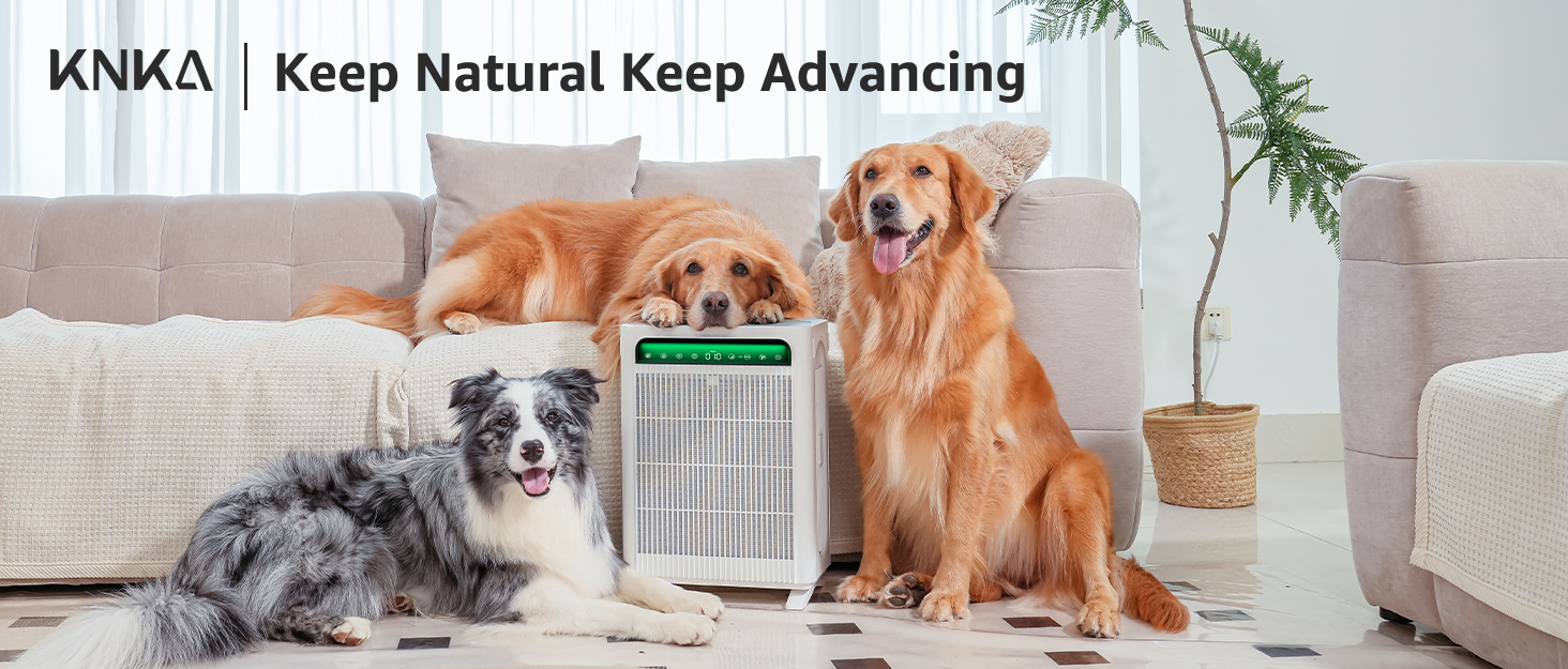 hepa filters air purifier large college dorm air purifier pet air purifiers for bedroom