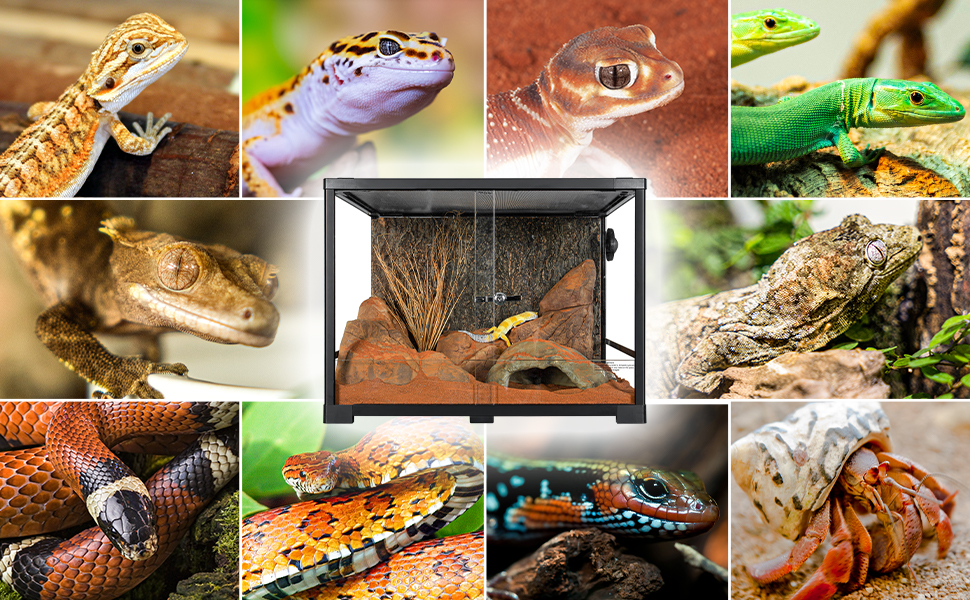 120L 爬虫類ケージ グラステラリウム 透明 W60×D45×H45CM Amazon | 120L 爬虫類ケージ グラステラリウム 透明 W60×D45