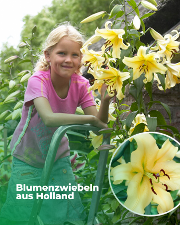 Blumenzwiebeln aus Holland