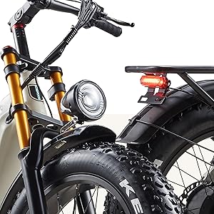 Electric Bike Herren Damen 20 Zoll E fahrrad