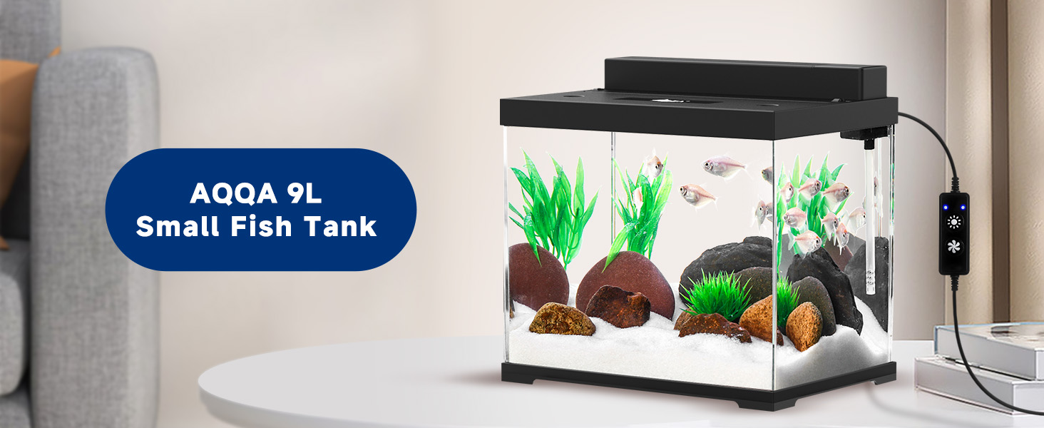 Das Aquarium ist ein kleines, schwarz-weißes Aquarium mit einem Aquarium oben drauf.