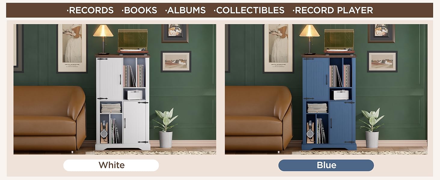 blue vinyl storage