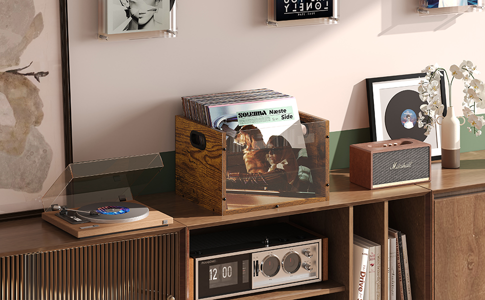 Xcosrack Acrylic Vinyl Record Storage, Wooden Record