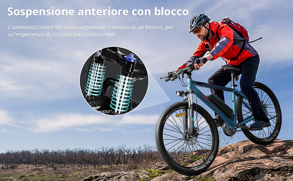 bicicletta elettrica