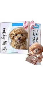 Robot Dog Model 5