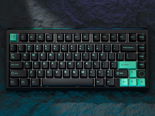 Amazon.com: BOOG75 75% Gaming Keyboard with GATERON KS-37B